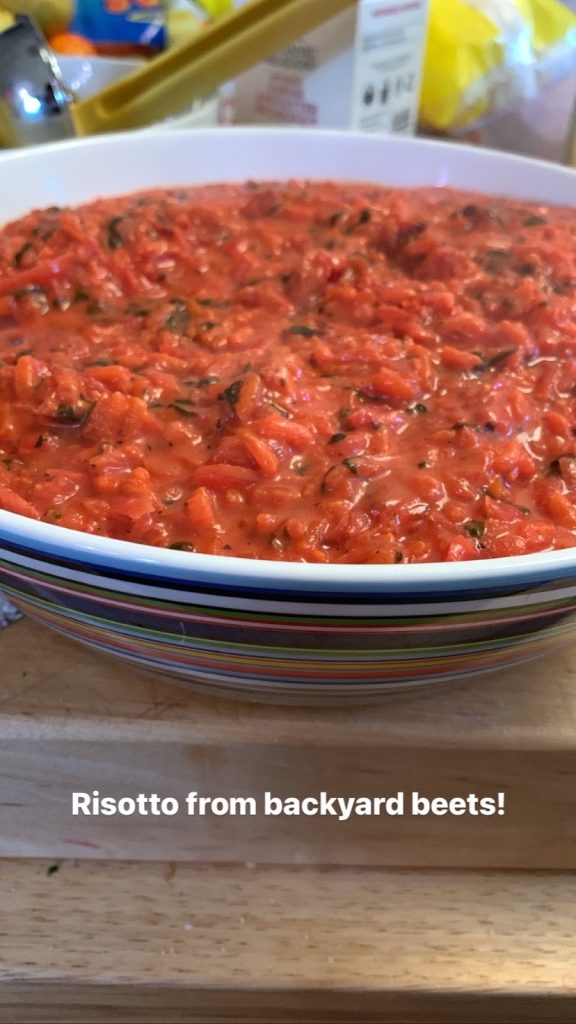 A colourfully striped bowl of richly red risotto made from garden beets 