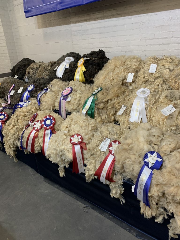 Wall of judged sheep fleece at the Royal winter fair